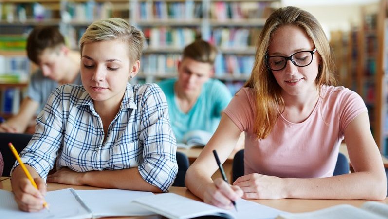 Essay writing is a skill that is important for academic success and advancement
