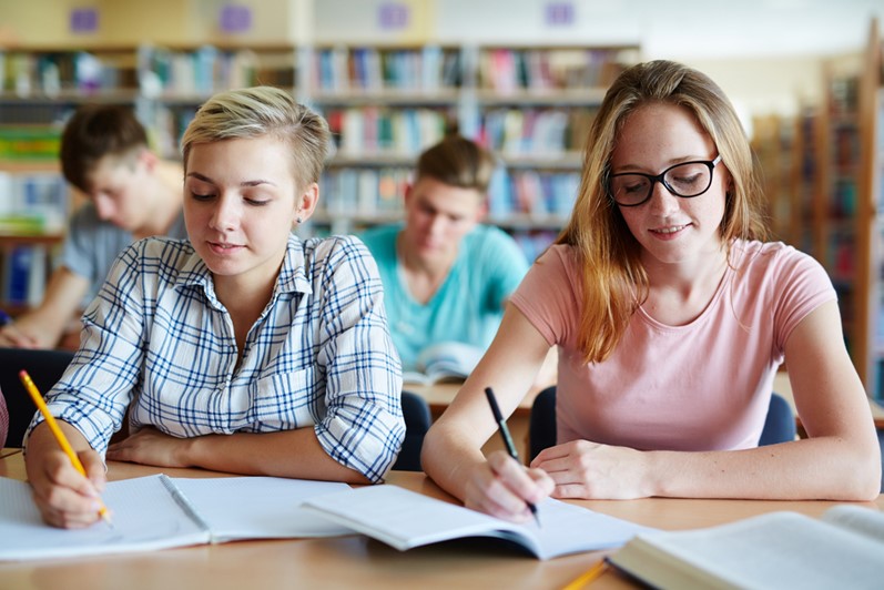 Essay writing is a skill that is important for academic success and advancement